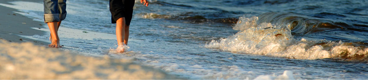 Untitled Header Image