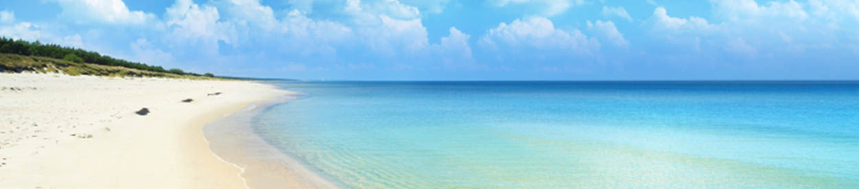 Untitled Header Image