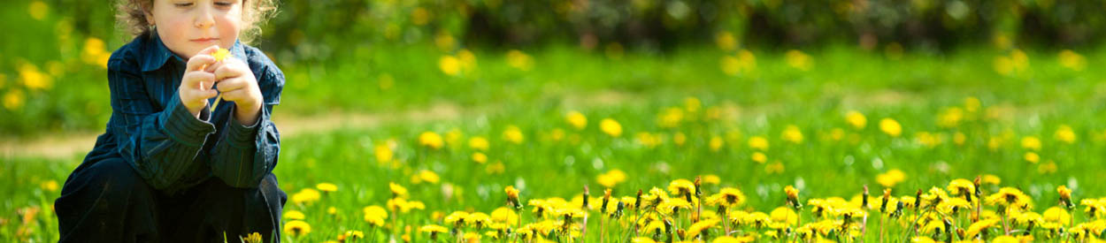 Untitled Header Image