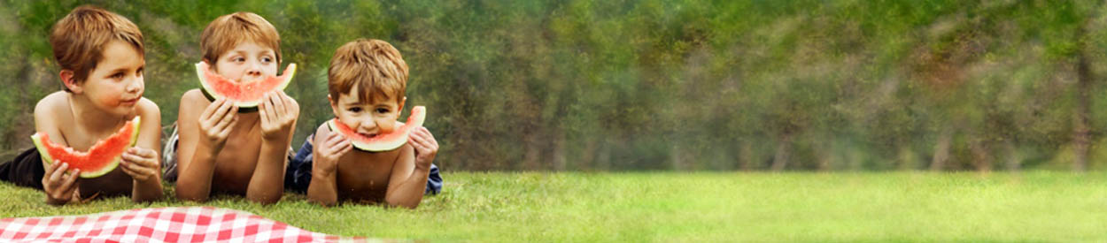 Untitled Header Image